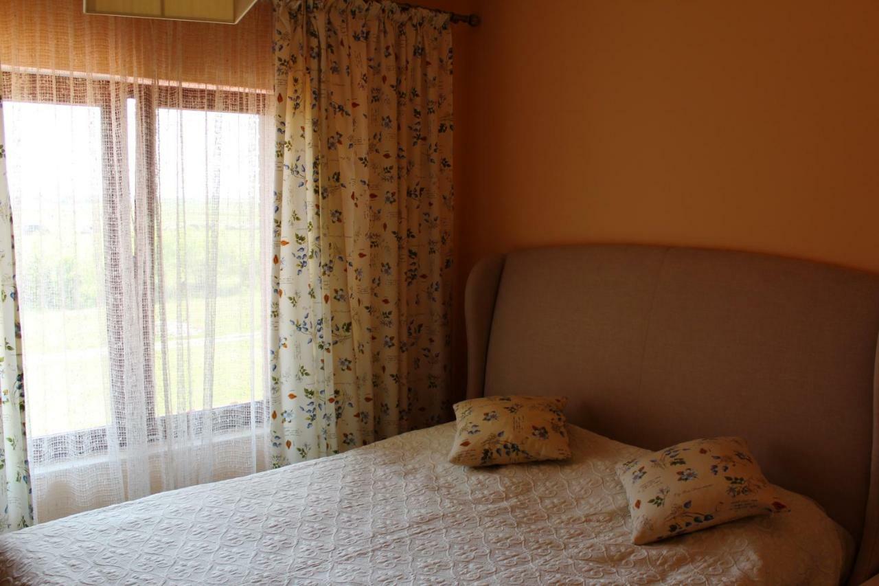Vila Ramona Otopeni Zewnętrze zdjęcie